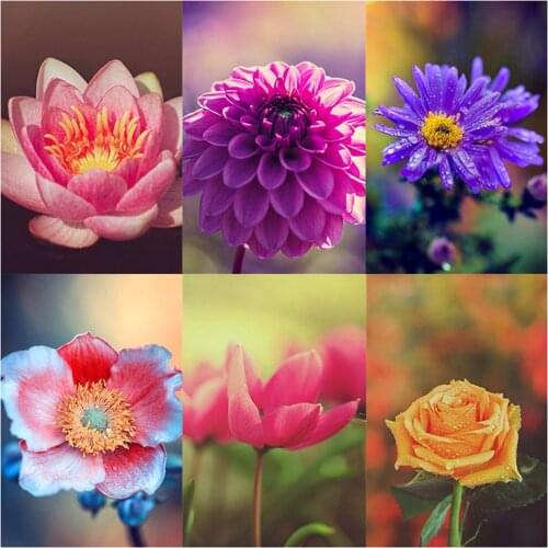 Canvas Size 5D DIY Flower Diamond Painting Cross Stitch Full Square Round Drill Embroidery Colorful Handmade Home Room Decor