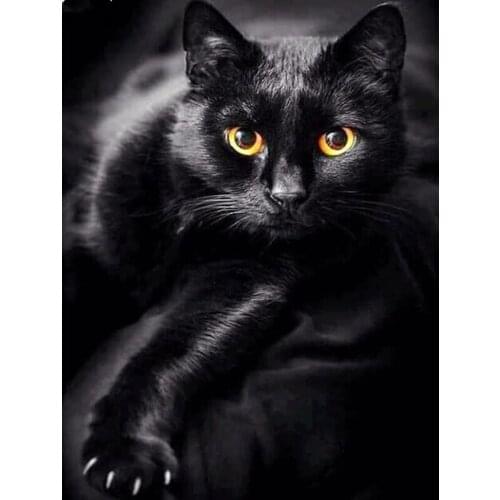 New 3D Diamond Embroidery Black cat picture of Rhinestones Mosaic 5D DIY Diamond Painting Full square /Round Decor crafts FG1208