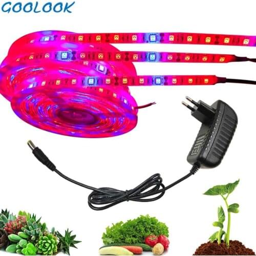 GOOLOOK LED Plant Lamps