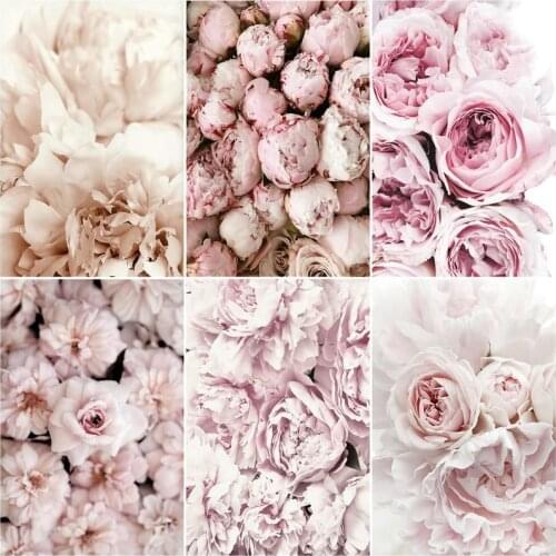 GATYZTORY Pictures Pink Rose Flowers By Numbers HandPainted Coloring Drawing Kits Canvas Oil Painting DIY Home Decoration Gift