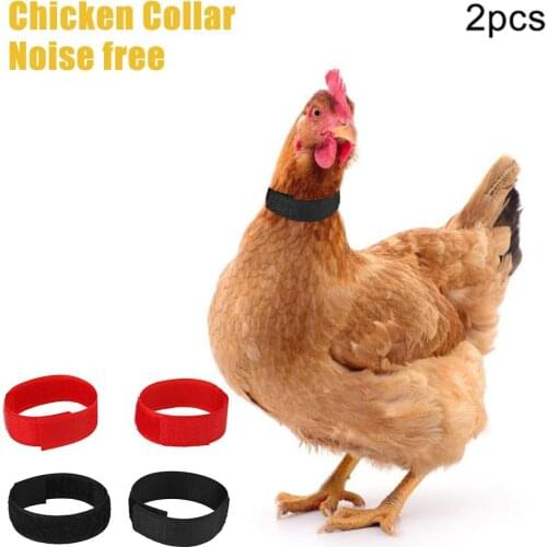 Переноски для животных Peitten China At AliExpress