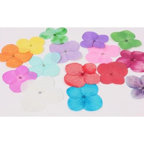 Pressed Dried Flower Dry Leaves For DIY Crafts for Craft DIY Art Jewelry Making DIY candle making