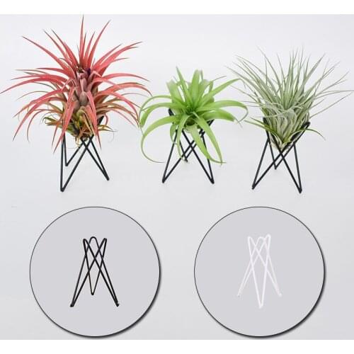 Geometric Tillandsia Air Plant Holder Home Decor Office Indoor Outdoor Iron Art Display Garden Ornaments Table Flower Pots Stand