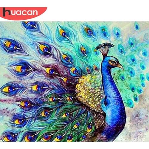 HUACAN Oil Painting Drawing On Canvas HandPainted Art Gift DIY Pictures Coloring By Number Peacock Animals Kits Home Decoration