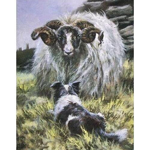 Full Round Drill Diamond Painting sheep & Border Collie Home Decor Mosaic animals Diamond Art Handmade Christmas GiftZP-3540