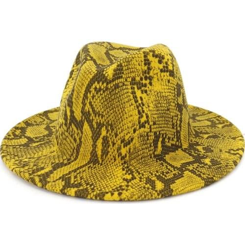 Explosive WomenFelt Fedor hat warm felt hat autumnwinter men snake pattern top all-match jazz big brimmed hat woolen hat