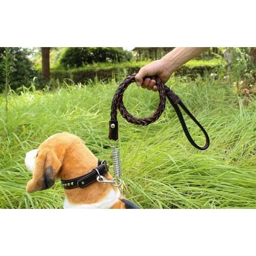 Cinipety Animal Decorations
