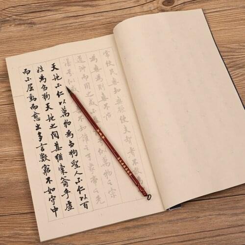 Brush Calligraphy Books Small Regular Script Calligraphie Copybook Adult Tao Te Ching Calligraphy Practice Xuan Paper Books