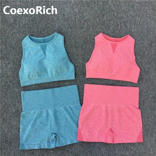 Yoga Set Women Sleeveless Sport Suit Workout Gym Clothes Fitness Sports Bra High Waist Shorts 2 Piece Mesh Seamless Sportswear