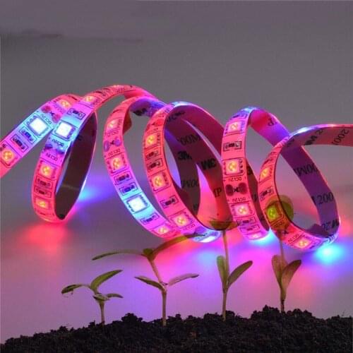 LED strip Lights 5M Growing LED Strip Plant Growth Light Full Spectrum + 12V 5A power Adapter for Greenhouse Hydroponic plant