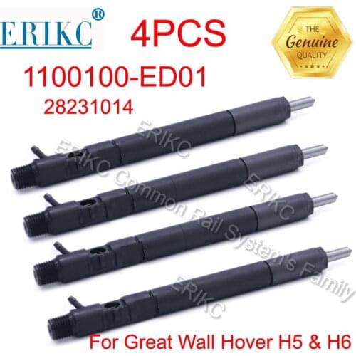 R00101D Diesel Injectors Common Rail EMBR00101D ( 9686191080 ) Diesel Fuel Spare Parts Injection 28236381 for SSANGYONG FORD