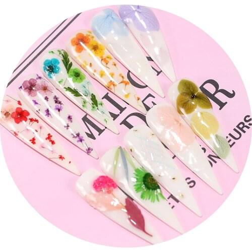 Nail art decoration dry flowers japanese nail art style natural plant DIY 3D Immortal flower for nail art sticker BZ164