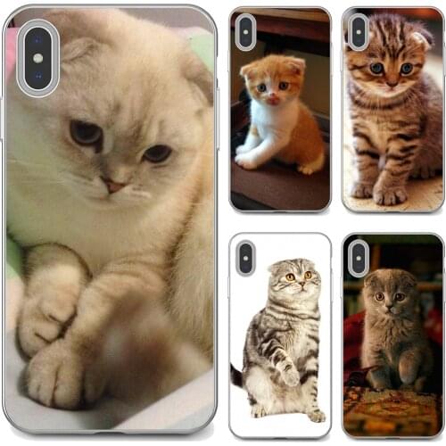 For Samsung Galaxy S7 S8 S9 S10E S20 FE Note 10 20 Edge Lite Plus Ultra Scottish-fold-cat-Felis-catus-Scotland Cell Phone Cover