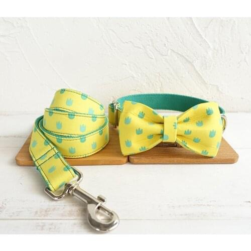 Designer Pet Collar with Bow Tie Personalized ID Dog Collar and Leash Set Quick Release Durable Dog Collar with Matching Leash