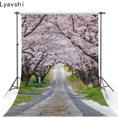 Lyavshi peach blossom tree petals road photography background computing photography wedding photo background