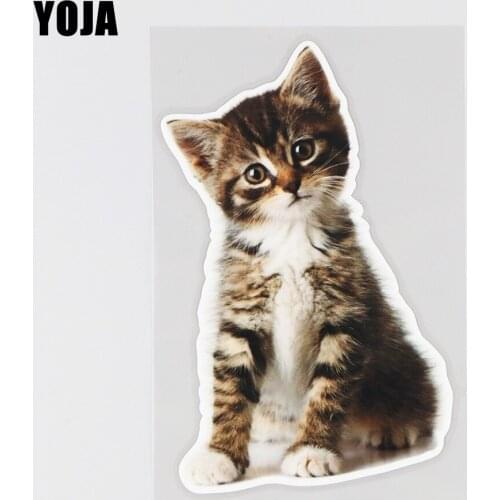 YOJA 10.4×16.6CM Fun Animal Cover Scratch Stickers Cute Cat Windshield Decor Car Accessories 19B-0028