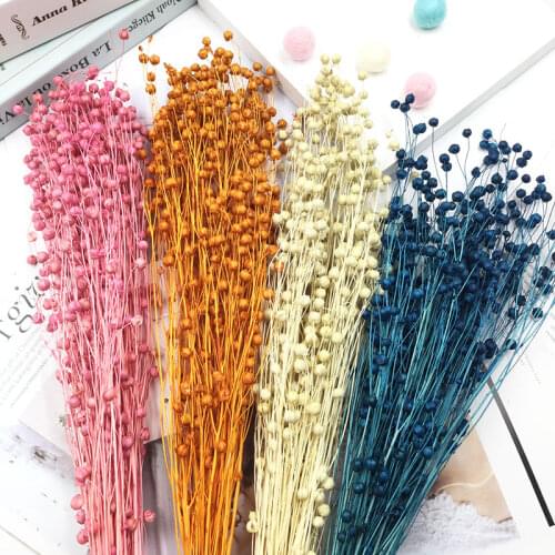 Yongsheng Flower DIY Material Package Rich Beans Acacia Beans Dried Flowers Linen Glass Cover Floating Float Hanging Key Chain
