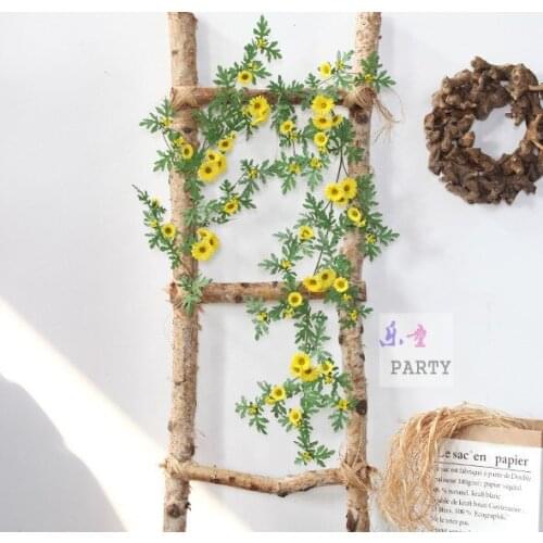 Flannel Canvas Poster Birthday Pictures Photography Props Party Decorations