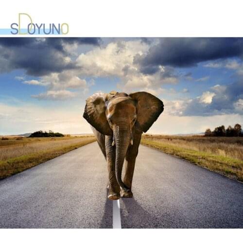 SDOYUNO 60x75cm Oil Paint By Numbers Elephant Frameless DIY Painting By Numbers Kits Animals Digital Hand Painting On Canvas