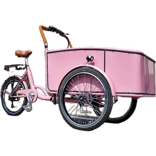 Pink Color Pedal Electric Cargo Bike Dutch Adult Tricycle Street Vending Cart for Sale Customize