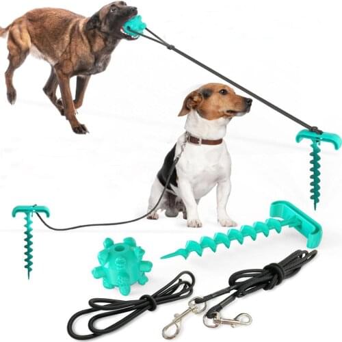 Training dog toys outdoors Screw into the ground pegs with traction rope Walk the dog toys Pet supplies tie the dog pegs