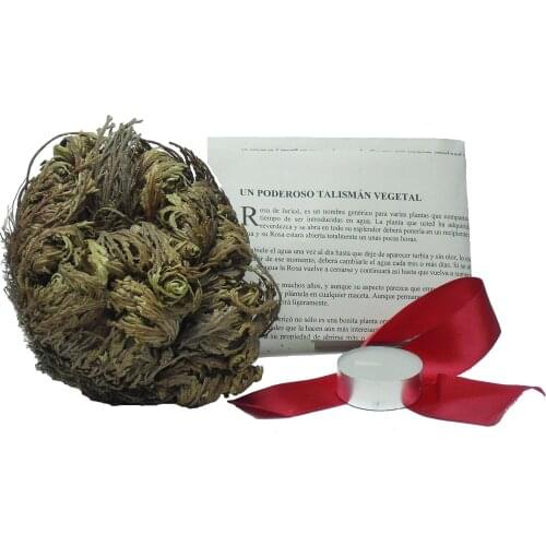 MERCAVIP Products For The Holiday