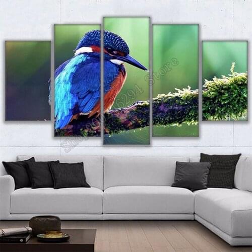 5pcs Full diamond painting Modern animal art, colorful bird diamond embroidery 5D rhinestone mosaic diamond inlaid patternFF3891