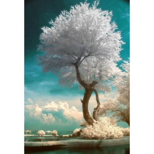 New 5D Diy Diamond Painting Cross Stitch White Snow Tree Square Diamond Snow Full Drill Natural Scenery Diamond Embroidery