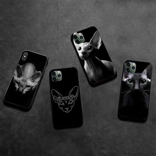 HUAGETOP Sphynx Cat black Phone Case Hull for iPhone 11 pro XS MAX 8 7 6 6S Plus X 5S SE 2020 XR case