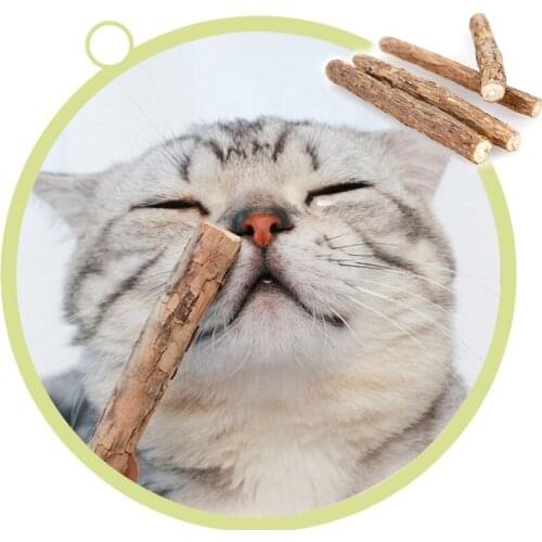 Natural Catnip Molar Sticks Cat Chew Clean Teeth Interactive Toy Pet Excited Tease Snacks Silvervine Kitten Accessories