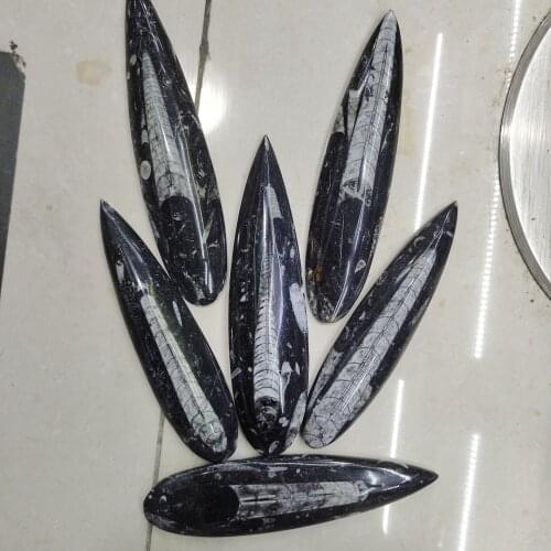 1pcs 7-10cm Natural right Angle fossil Crystal Specimen Rare Polished Collectible natural stones and minerals