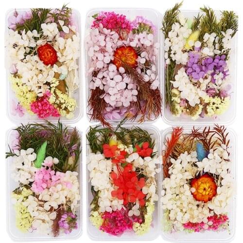 Pressed Flowers Small Dried Flowers Scrapbooking Dry DIY Preserved Flower Decoration Home Mini Flowers Flores Secas