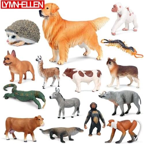 New Simulation Wild Animal Cat Dog Orangutan Hedgehog Bulldog Monkey Wolf Solid Model Decoration Action Figure Children Toy Gift