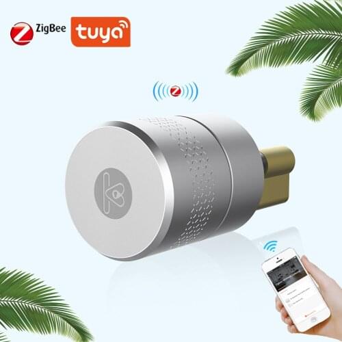 Tuya Wireless Smart Lock Fingerprint Stainless Steel Lockbody Cylinder Smartlife APP Lock cylinder For Lock Upgrade Smart Home