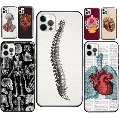 Medical Human Anatomy Phone Case For iPhone 12 Pro Max 12 Mini SE 2020 8 7 Plus 11 Pro Max X XS Max XR Cover
