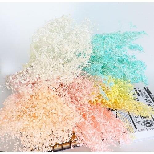 60g Natural Babysbreath Gypsophila Million Stars Preserved Dried Flower Photograph For Garden Room Home Wedding Party Decoration