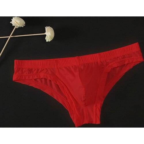 Sexy Mens Mesh See Through Ice Silk Briefs Mens G-strings Pouch Bikini Erotic Underwear Pouch Underpants Lingerie Gay Underwear