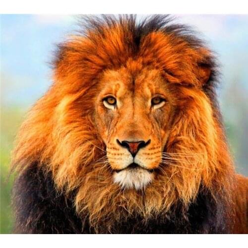 Full Square/Round Drill 5D DIY Diamond Painting "Animal Lion" 3D Rhinestone Embroidery Cross Stitch 5D Decor Gift