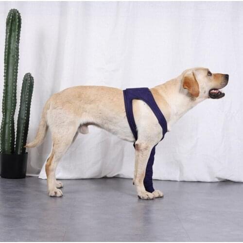 A Dogs Soft Jumpsuit Post Operative Protection Foreleg Long Sleeves Post Surgery Recovery Suit For Small Medium Dog Clothes