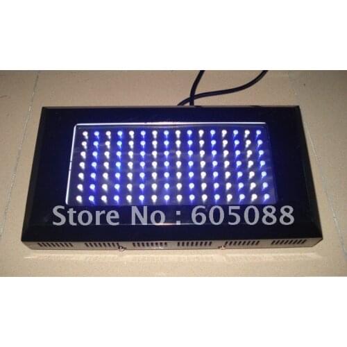 Фитолампы для растений BiNFU China At AliExpress