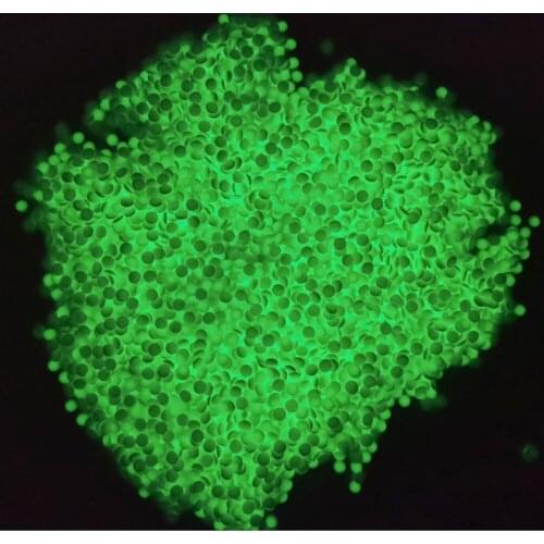 2021 New Glow In Dark Resin Stones DMC 5200 Square Round Drills Diamond Painting For Create your own DP Luminous painting