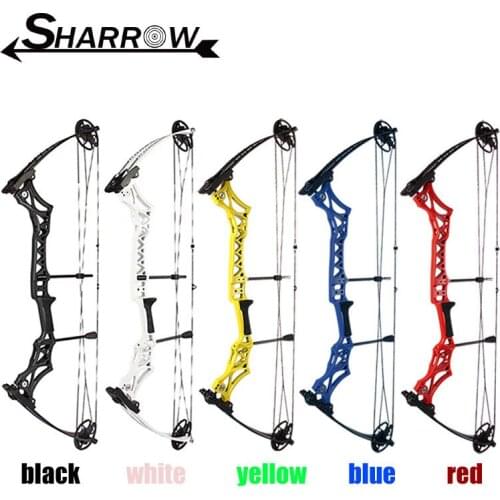 Archery M108 Compound Bow 30-55lbs Adjustable IBO 300FPS Hunting Bow Right Hand Outdoor Shooting Accessroies