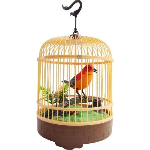 Children Electric Acoustic Small Cage Music Toy Movement Parrot Will Call Educational Sounding Battery Operated Unisex 2021