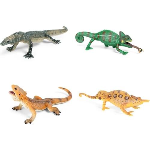 4 Kinds Lizard Chameleon Animal Figure Collectible Toys Wild Animal Cognition Action Figures Kids Plastic Model Toys