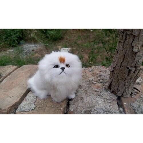 14x12cm white pekingese dog hard model toy,polyethylene&furs craft,prop,home decoration 1298