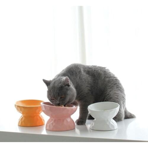 Non-slip Ceramic Cat Bowl Feeder With Raised Stand Bone China Cervical Protect Food Water Cat Bowl Pet Supplies Accessories