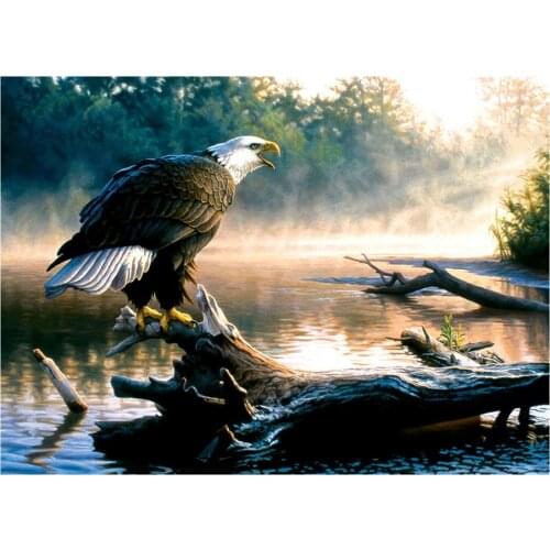 5D new full diamond animal eagle landscape mosaic diamond painting embroidery decoration home decoration