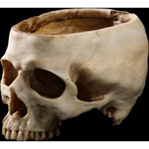 Human Skull Head Design Flower Pot Planter Container Replica Home Bar Decor