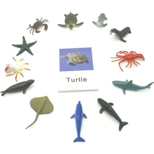 Montessori Educational Toys Learning Language Plastic Africa Animals Card Montessori Puzzle early childhood preschool toy L1046F