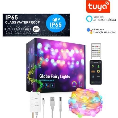 5/10 m Tuya APP wifi Remote Control Smart RGB Strip Light WaterProof Globe Fairy Lights compatible Alexa Google voice control